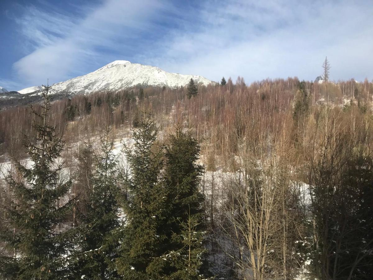 Apartmany Vila Vlasta Vysoké Tatry エクステリア 写真