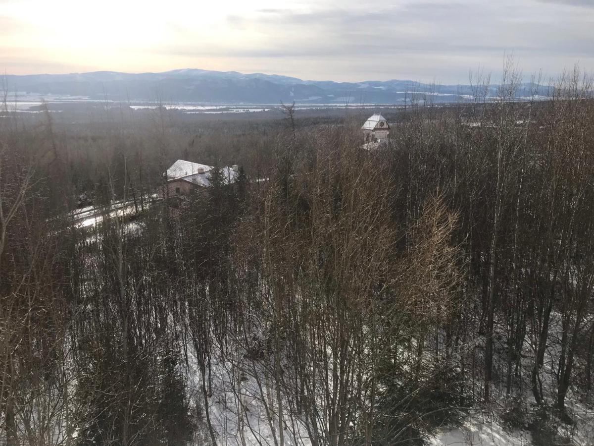Apartmany Vila Vlasta Vysoké Tatry エクステリア 写真